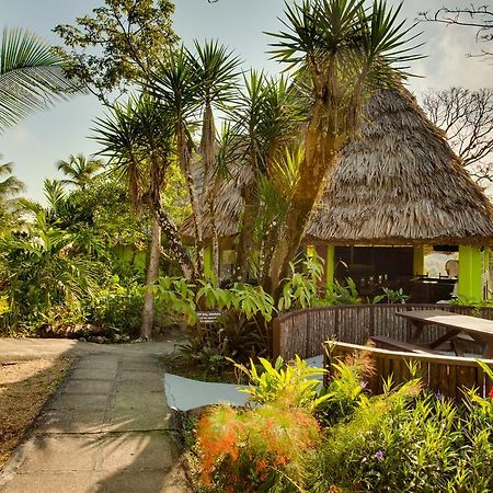 Windy Hill Resort San Ignacio Exteriér fotografie