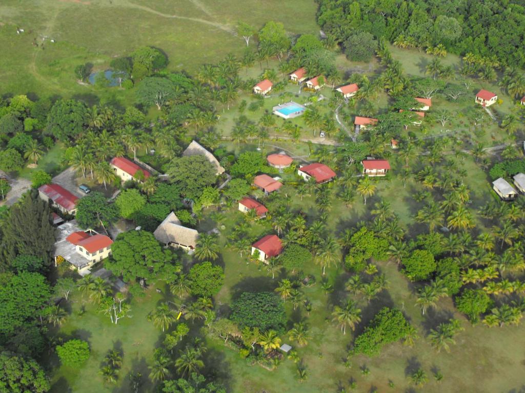 Windy Hill Resort San Ignacio Exteriér fotografie