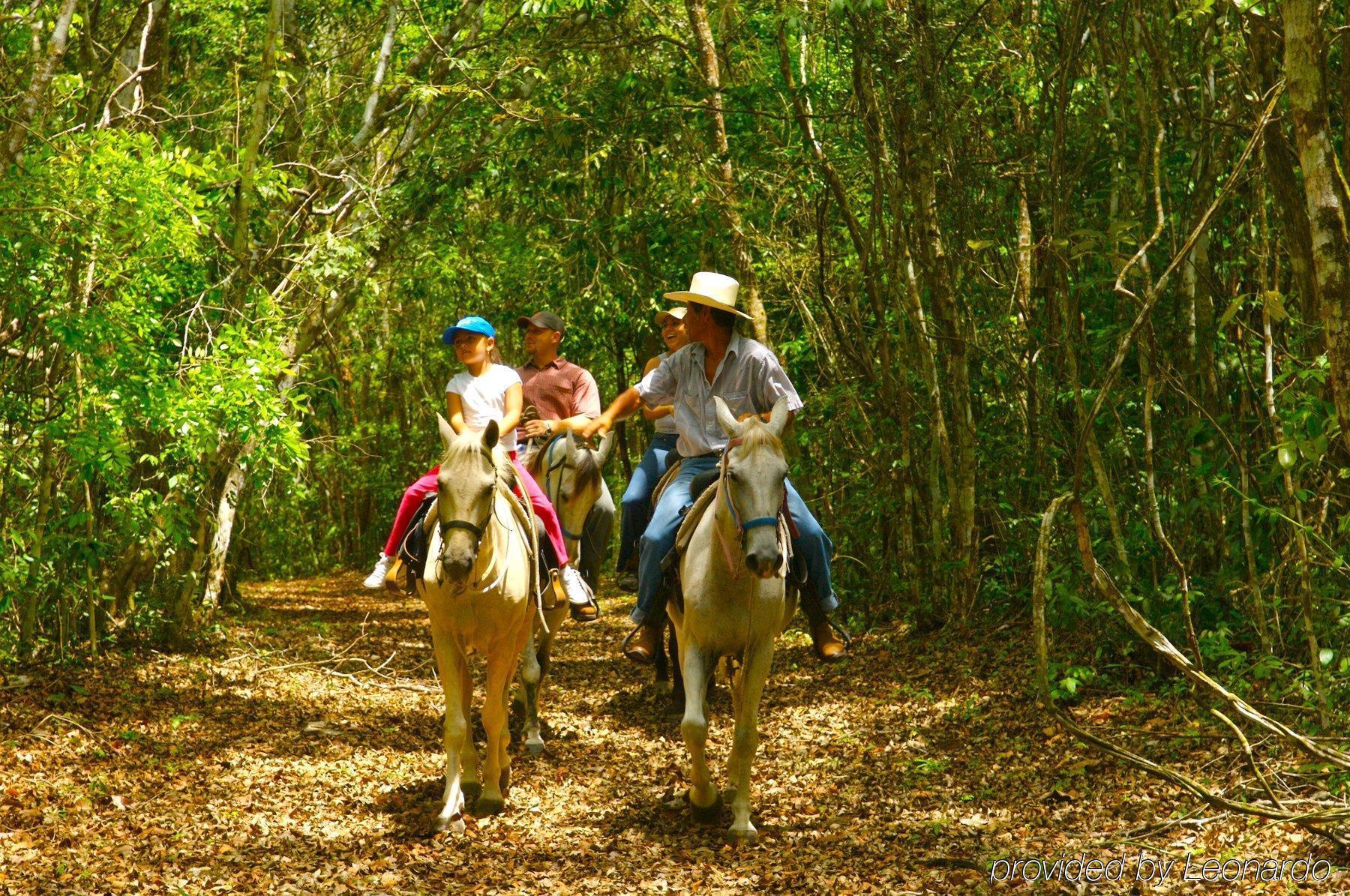 Windy Hill Resort San Ignacio Exteriér fotografie
